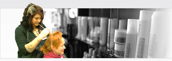 bg_services2